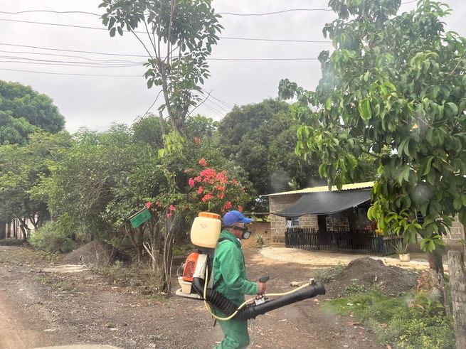 Previenen aparición del dengue