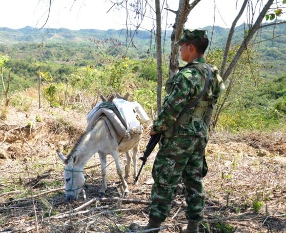 Firmantes de paz en riesgo en Sucre, hay denuncias de 20 amenazados
