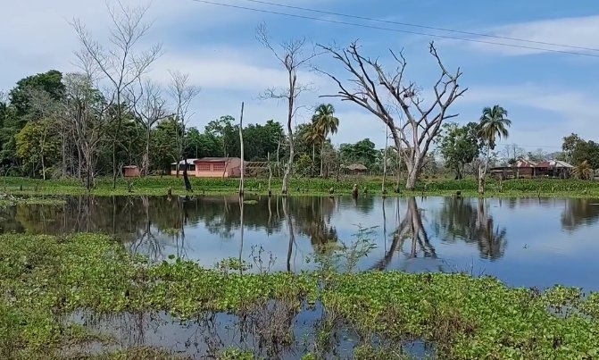 Hay 27 corregimientos inundados y más de 6 mil hectáreas afectadas
