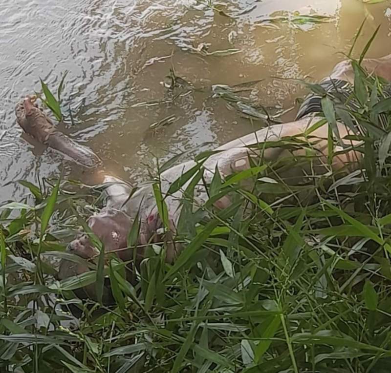 Encuentran cuerpo sin vida en el río Sinú