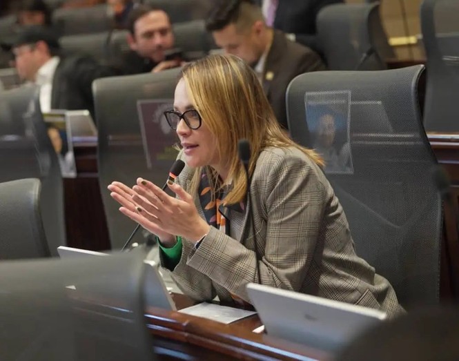 "¡Indolentes!": Congresista Carolina Arbeláez denunció que el Gobierno no ha usado los recursos contra minas antipersonas