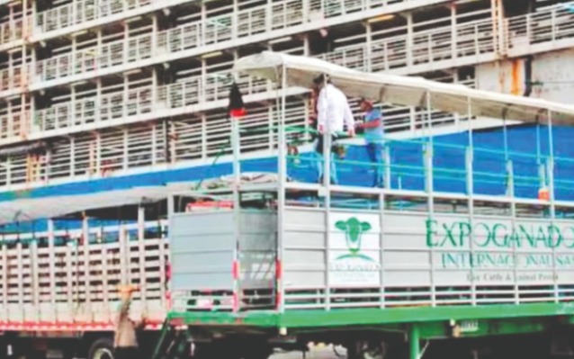 Mientras Colombia sigue superando escollos, Brasil aumenta exportaciones