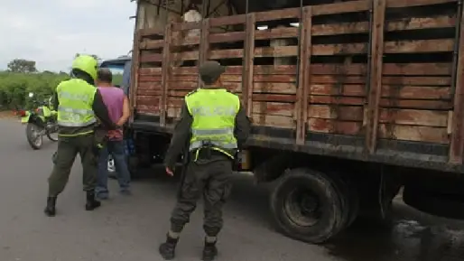 Botón de Alerta busca bajar los casos exitosos de abigeato en Colombia