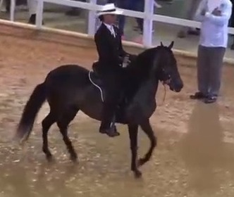 Córdoba resaltó en el Mundial de Equitación