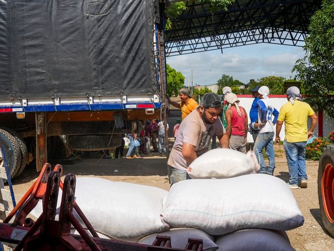 Van 2 mil toneladas de yuca adquiridas y entregadas en Sucre