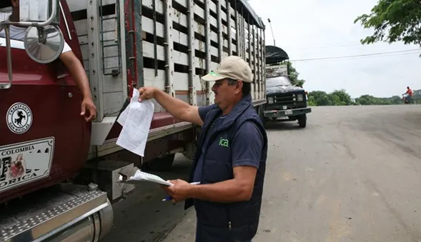 Unifican medidas para movilizar animales: ojalá funcione