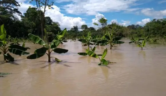 Comenzaron las pérdidas en las cosechas por inundaciones