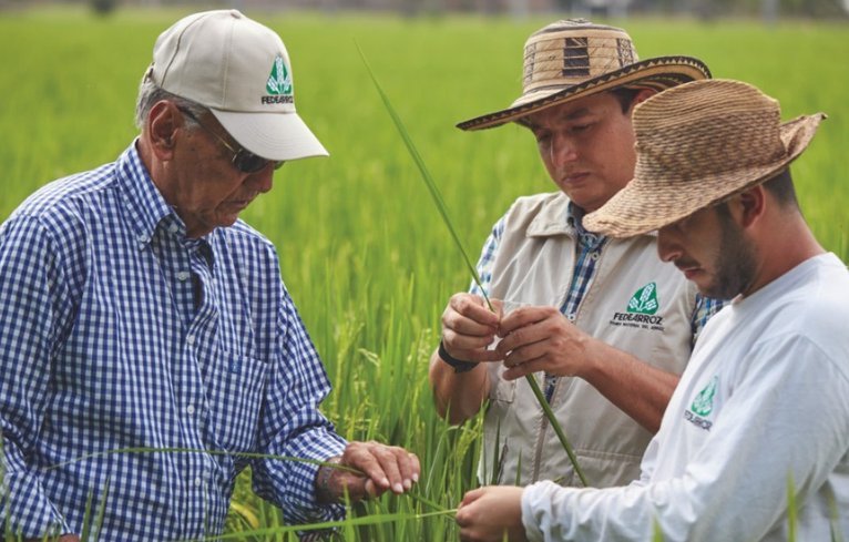 Fedearroz elige directivos, hace feria, días de campo y realiza balance