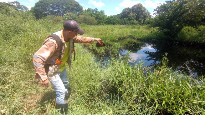 Crónica de un desastre: el crudo negro acaba con el verde de Villa López