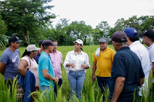 Clamor de campesinos hizo eco y Gobernación interviene