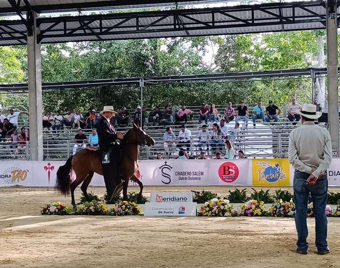Con los mejores equinos se dio inicio a ExpoSucre 2024