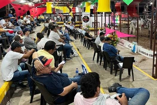 Cencogan suspende subasta y se une al paro de transportadores