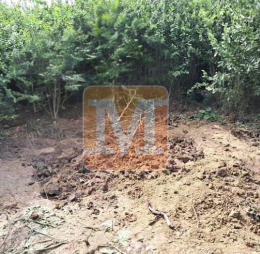 Exclusivo: Primera imagen de la fosa donde estaban cuerpos de ganadero y sus trabajadores