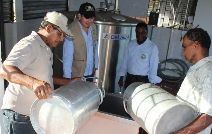 Acopio de leche en Córdoba y Sucre fue inferior en julio