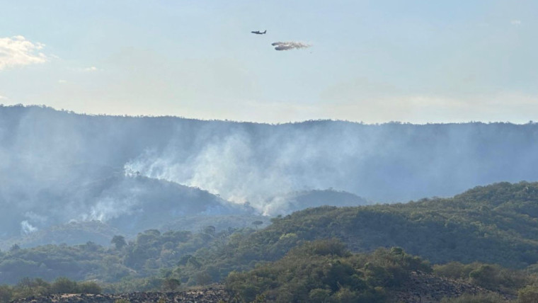 Ungrd alertó que hay 20 incendios forestales activos en Colombia