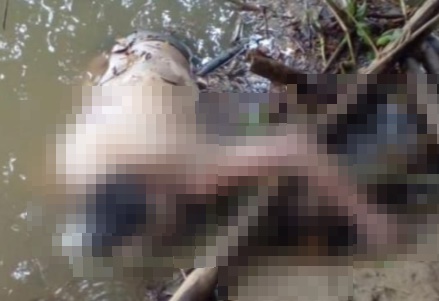 Cuerpo sin vida fue hallado a orillas del río Sinú en Montería