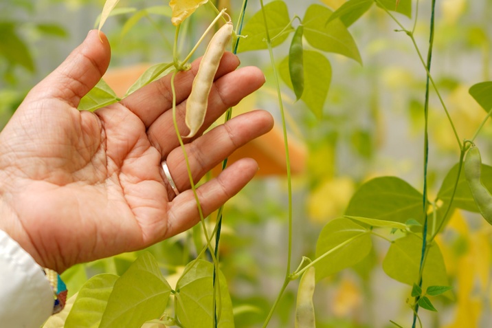 El crecimiento del agro en cifras