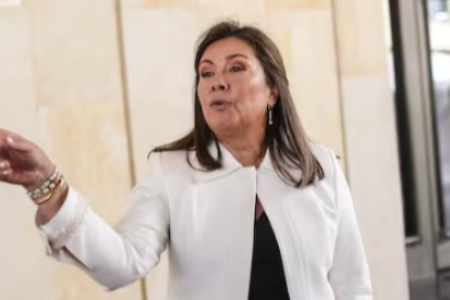 La Agencia de Defensa pidió intervenir en el proceso de la fiscal Luz Adriana Camargo 
