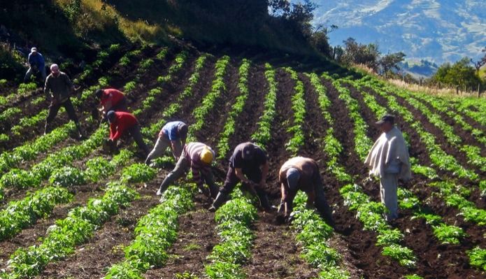 El objetivo es fortalecer los derechos territoriales: Minagricultura y Minambiente 