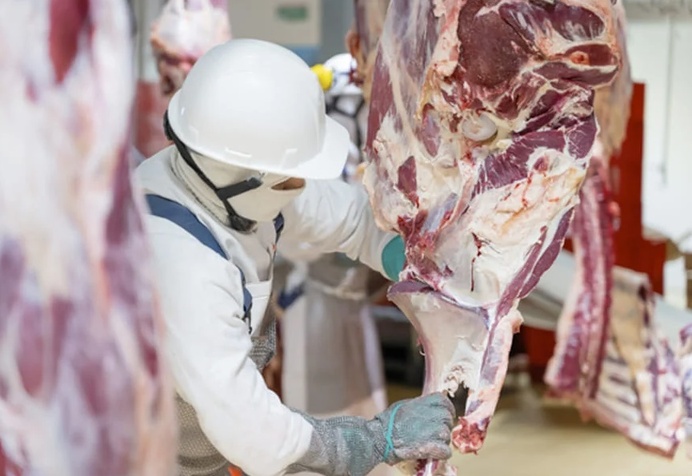 Baja precio del ganado, pero la carne sigue igual