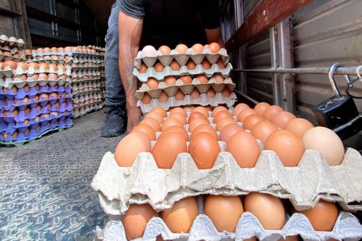 En alza consumo de huevo en Colombia