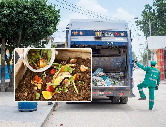 Cientos de toneladas de residuos orgánicos, perdidos en la basura