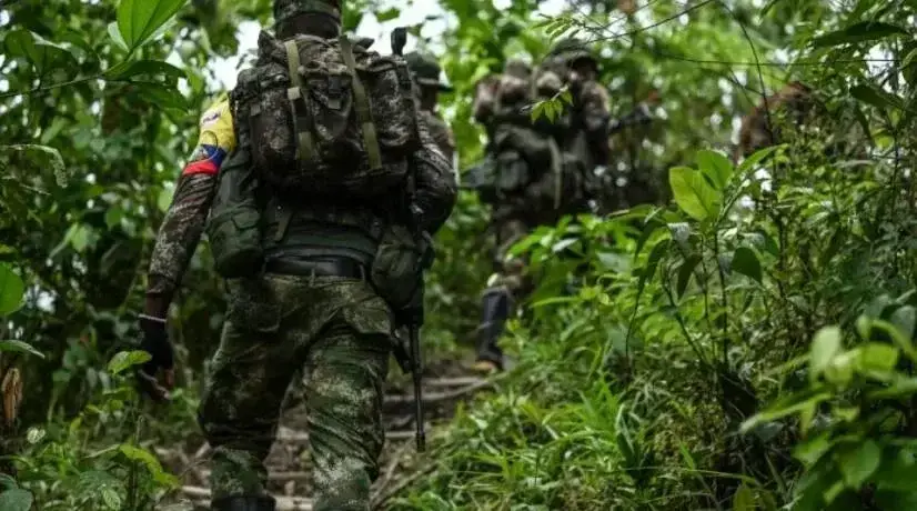 Disidencias de las Farc habrían instalado cámaras de seguridad en el Cauca