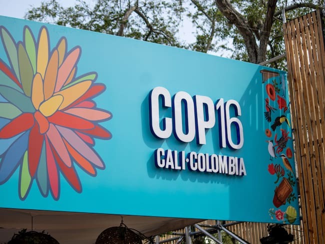 Ataques de disidencias prende alarmas en la COP16