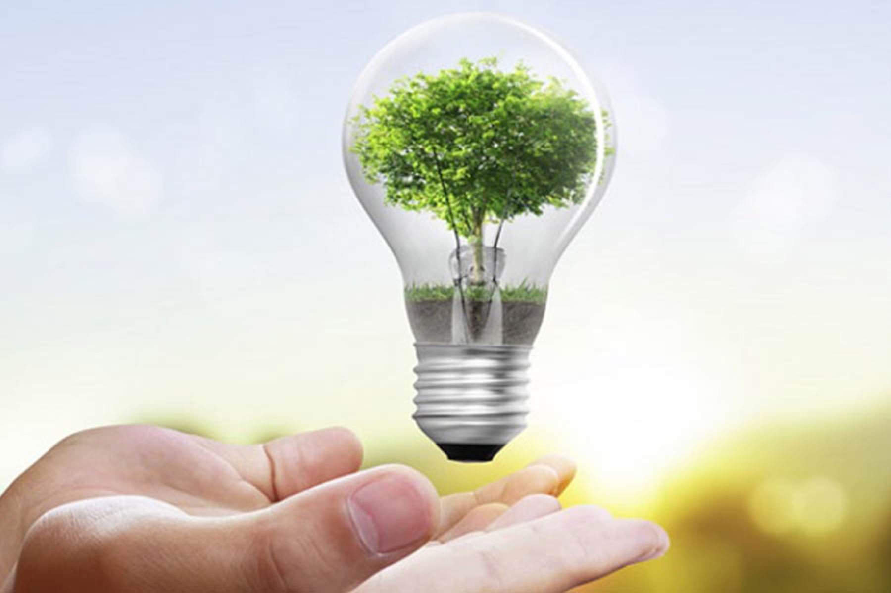 Hoy es el Día Mundial del Ahorro de Energía