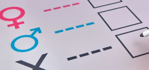 Preparan decreto que permitirá cambiar el género en documentos de identidad