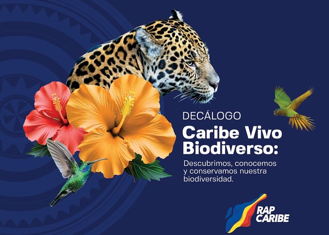 Sucre forma parte del Decálogo Caribe Vivo Biodiverso