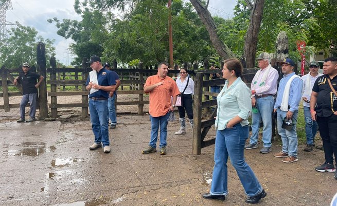 Alianza de Razas Especializadas en Carne visitó Bufalera Monterrico