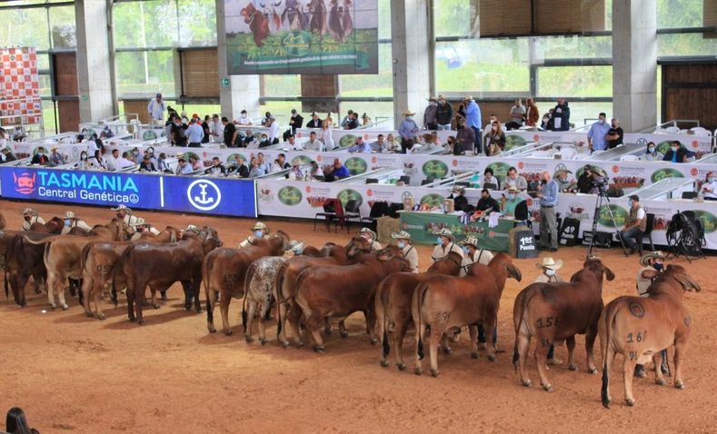 Vuelve la Feria Nacional Cebú