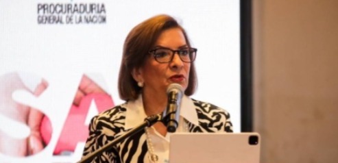 Procuradora rechazó proyecto que busca rebajar las condenas a delitos contra niños