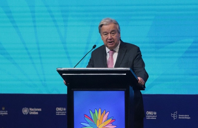 Secretario de la ONU insta a preservar