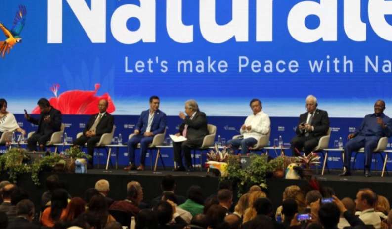 Finalizó la COP16 en Cali