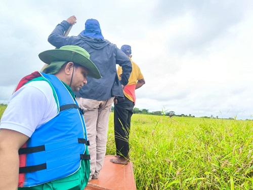 Corpomojana no ha podido encontrar caimanes perdidos