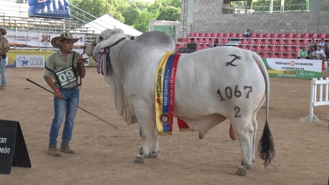 Gran participación en la Feria Nacional Cebú