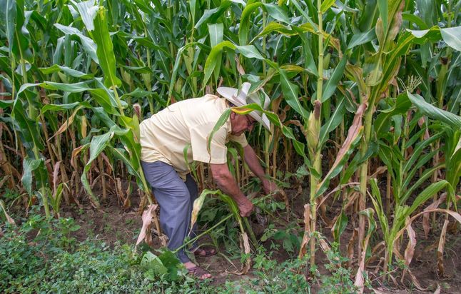 135 mil créditos para el agro