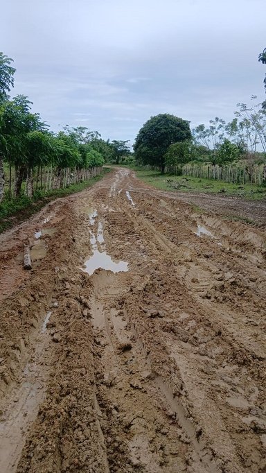 Así está la vía por donde atravesará la Transversal de Los Ríos