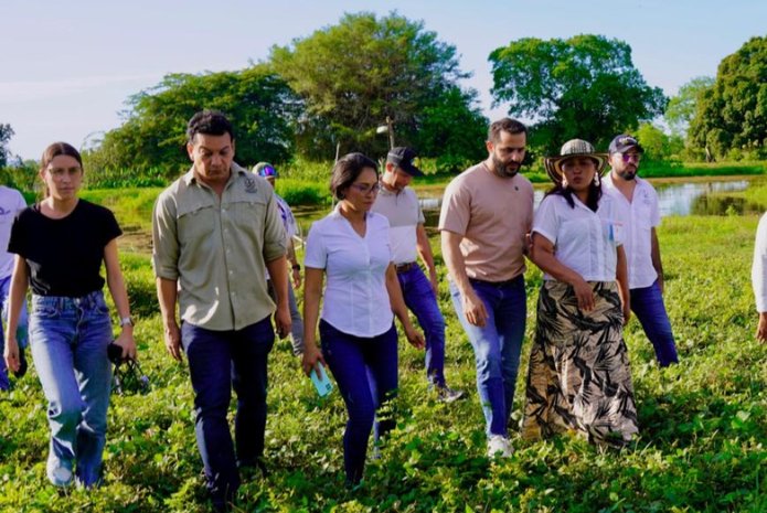 Más insumos para el campo