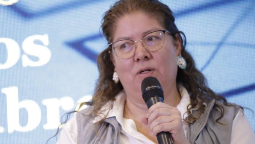 Transfuguismo sigue preocupando a la MOE