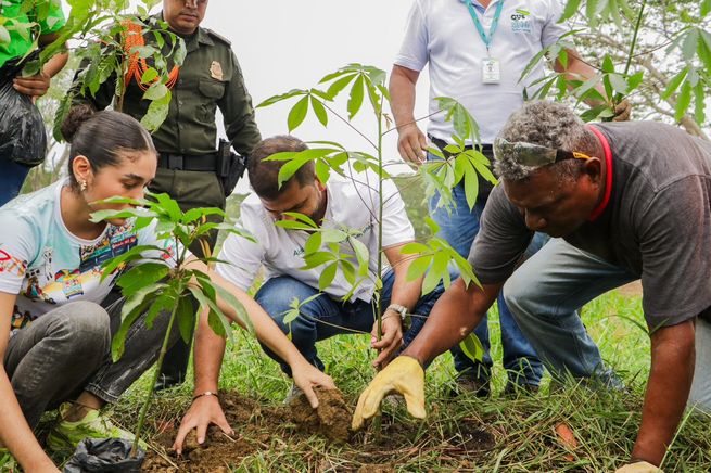 Por un Cereté más verde y atractivo