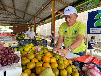 Mercado la Paz, la propuesta de la Administración Municipal para formalizar a vendedores del centro de Sincelejo