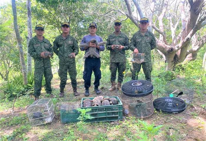 Armada recuperó cerca de 100 animales silvestres