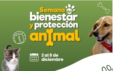 Alcaldía de Montería vive la Semana del bienestar y protección animal