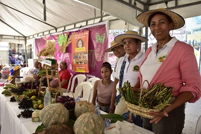 El Festival Cultural de Sucre, del Fondo Mixto de Cultura, deslumbra con sus jornadas pedagógicas y artísticas