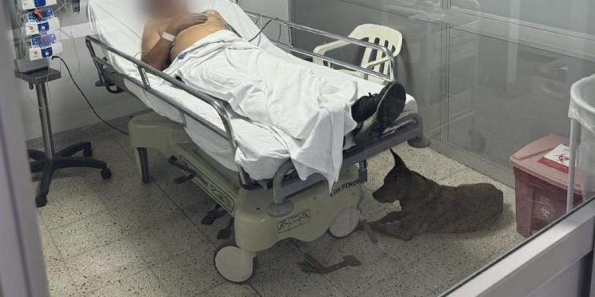 Lo apuñalaron por defender a su hija