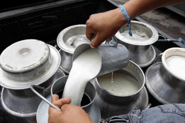 Crisis lechera golpea a Córdoba y Sucre