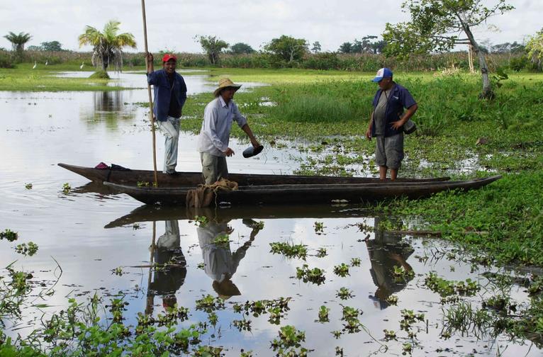 Prometen alivio financiero para campesinos de la Mojana, ¿les cumplirán?